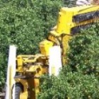 Prince Product used in Orange Harvester